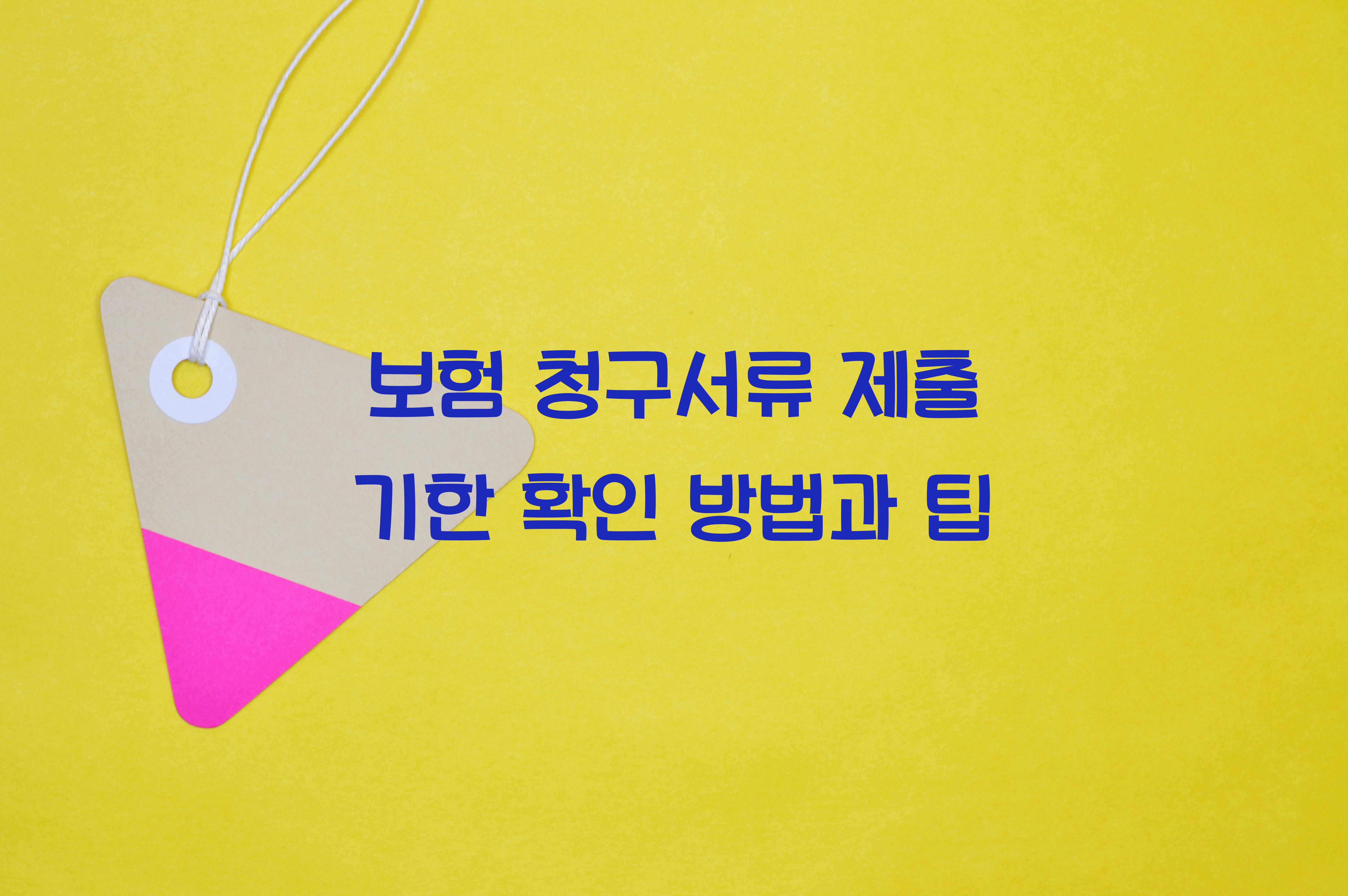 보험 청구서류 제출 기한