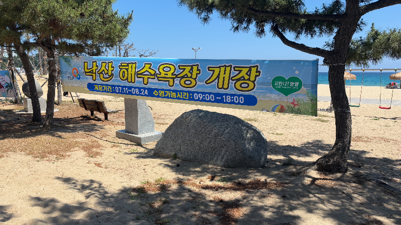 낙산해수욕장 개장일