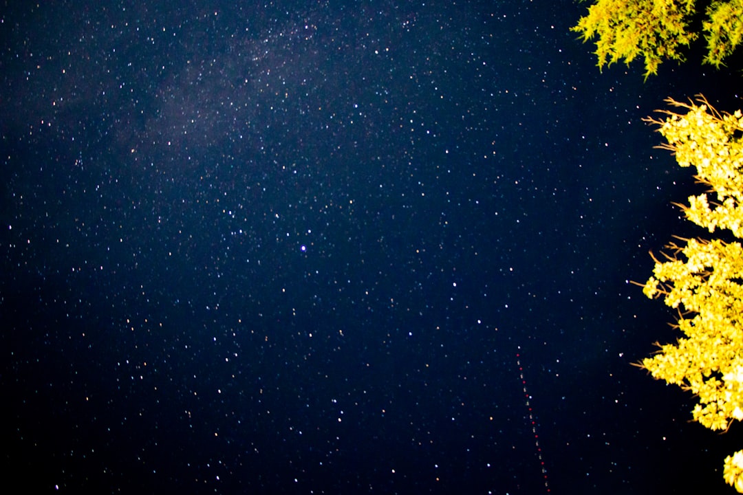 Starry Night Walk — this captures the central concept of the event.