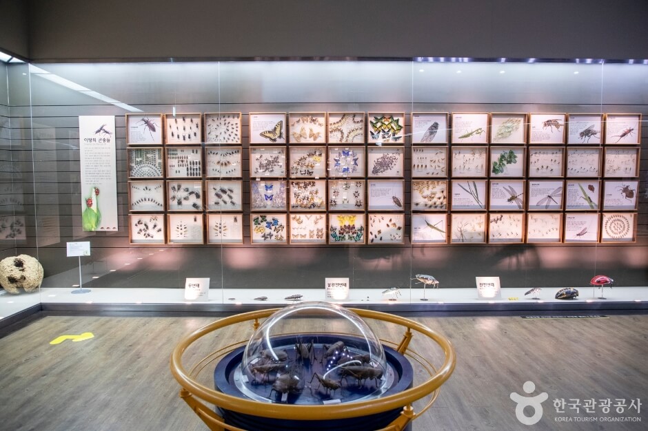 목포 가볼만한곳 BEST 5