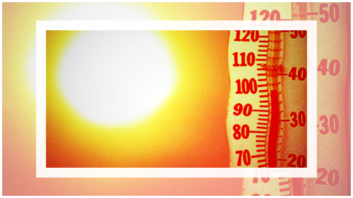 2020년도의 삼복인 초복, 중복, 말복의 날짜와 그 의미에 대해서 설명하는 이미지