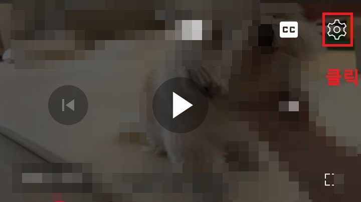 화면 우측 상단의 톱니바퀴 클릭함