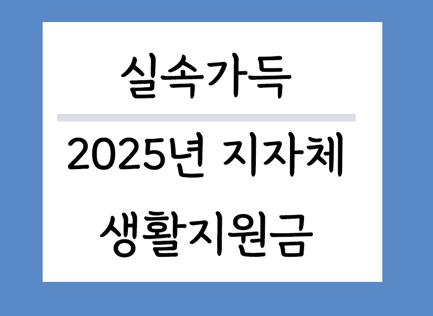 보조금보다 실속있는 2025년 지자체 생활지원금 총정리