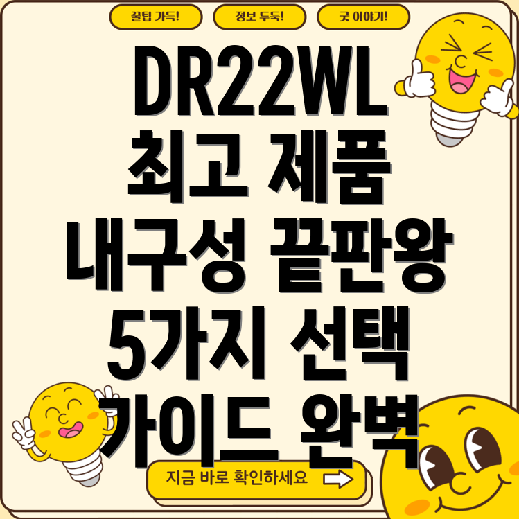 dr22wl최고내구성제품5가지선택가이드및특징분석