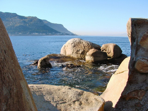 필리핀-세부-해파리-쏘임-대처
