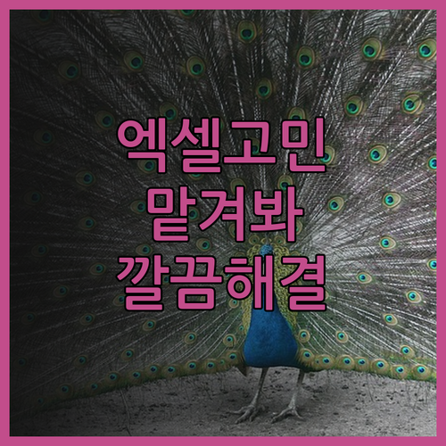 복잡한 엑셀 작업, 이제 전문가에게 