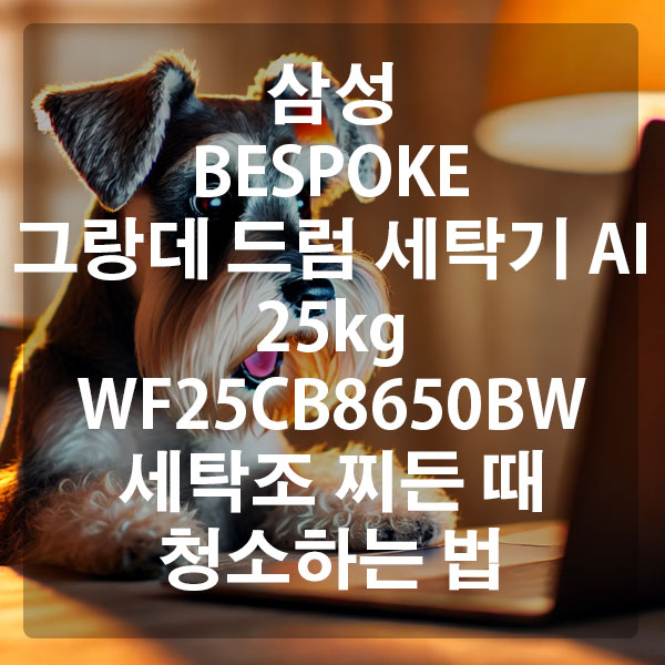 삼성 BESPOKE 그랑데 드럼 세탁기 AI 25kg WF25CB8650BW 세탁조 찌든 때 청소하는 법