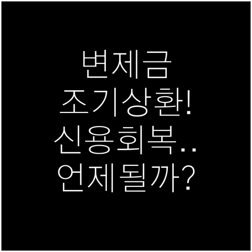 개인회생 잔여 변제금 조기 상환 시 ..