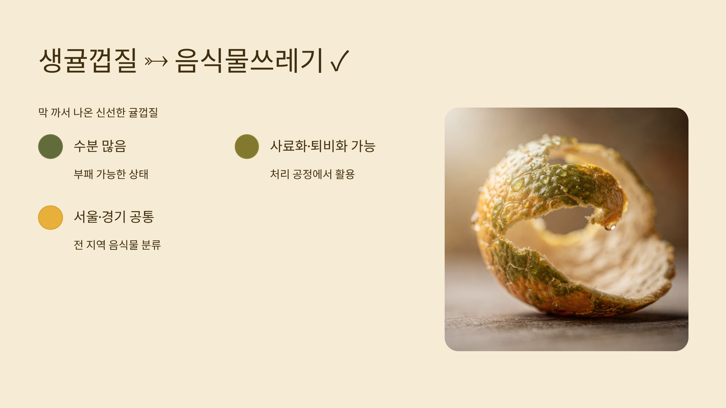 생 귤껍질은 음식물쓰레기