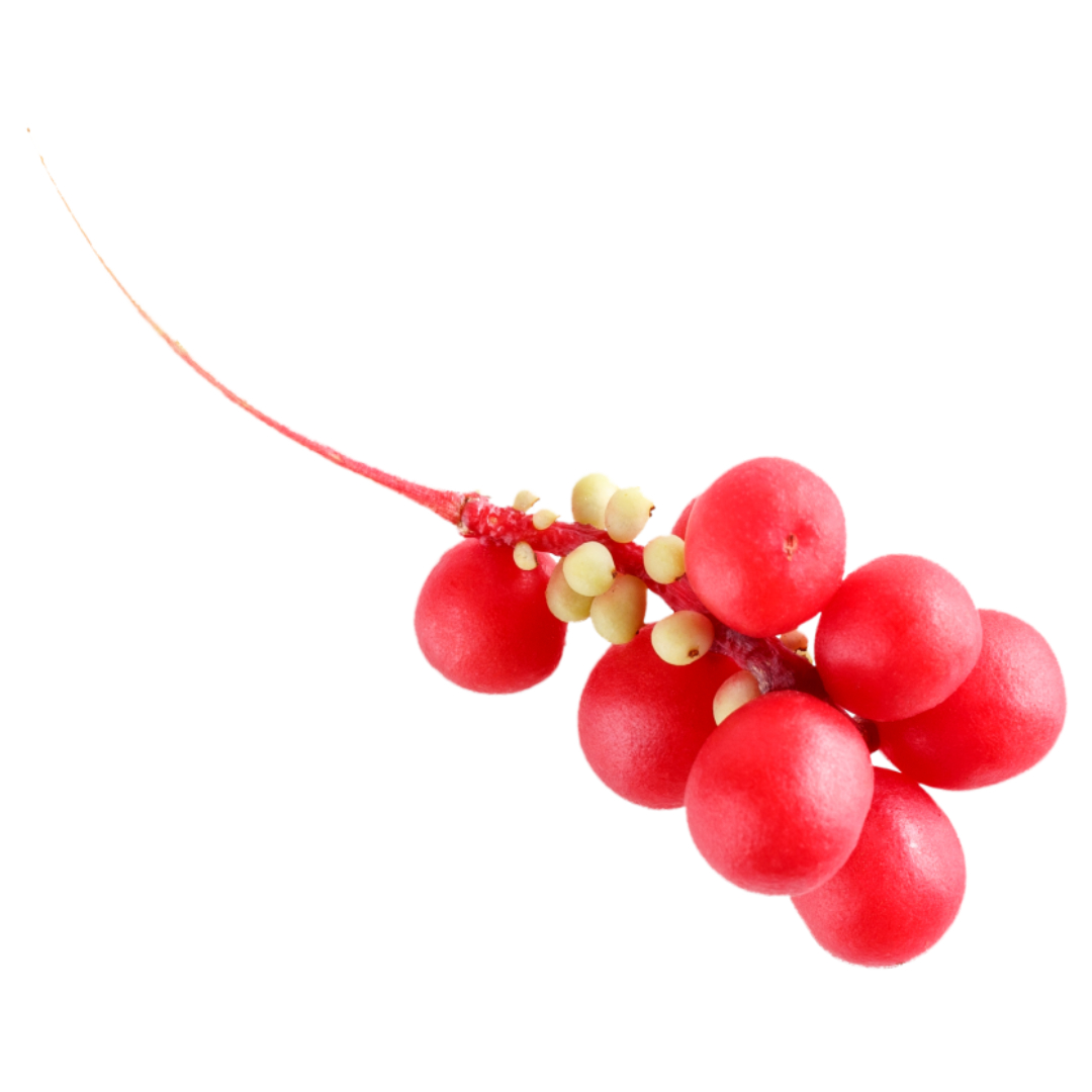 오미자청과 관련된 사진입니다.