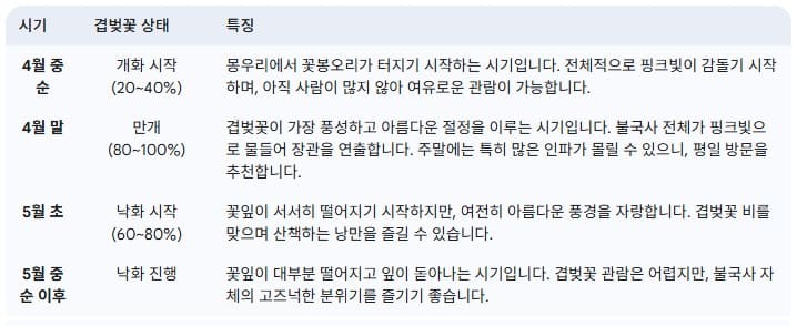 불국사-겹벚꽃-최적의-개화-시기-완벽-분석