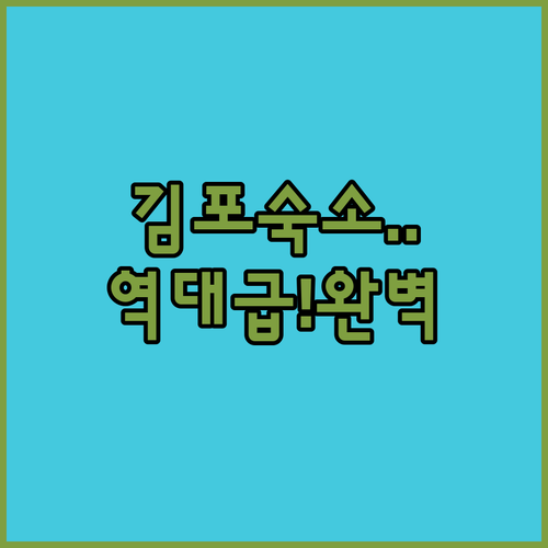 김포 여행 필수 코스 수영장 조식 시..