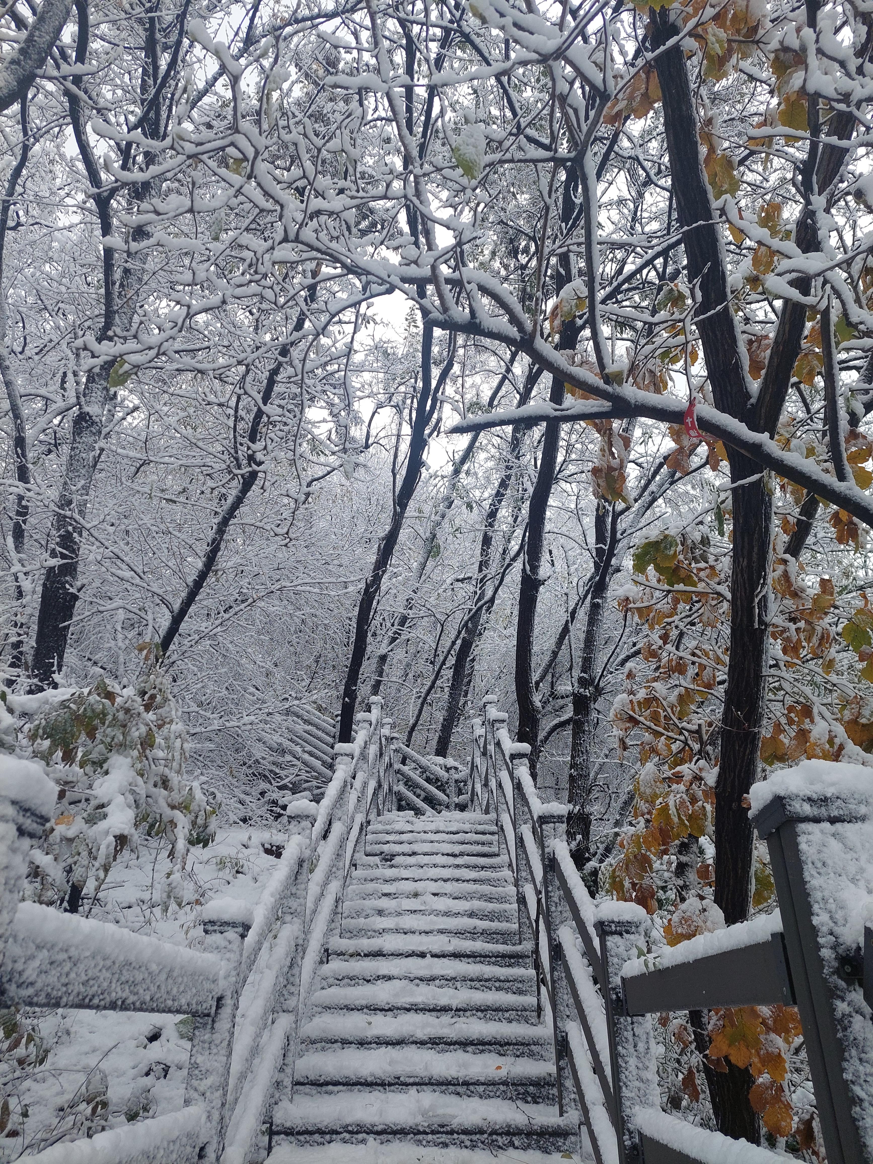 백련산안산