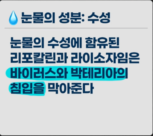 눈물의성분