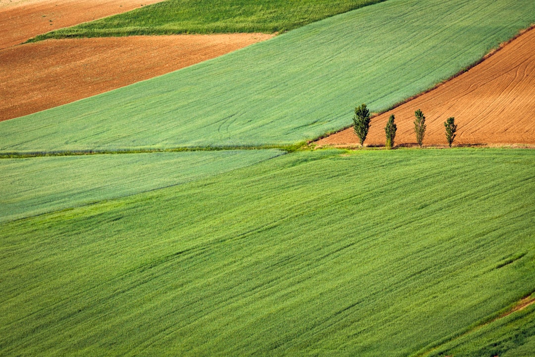 Smart Agriculture