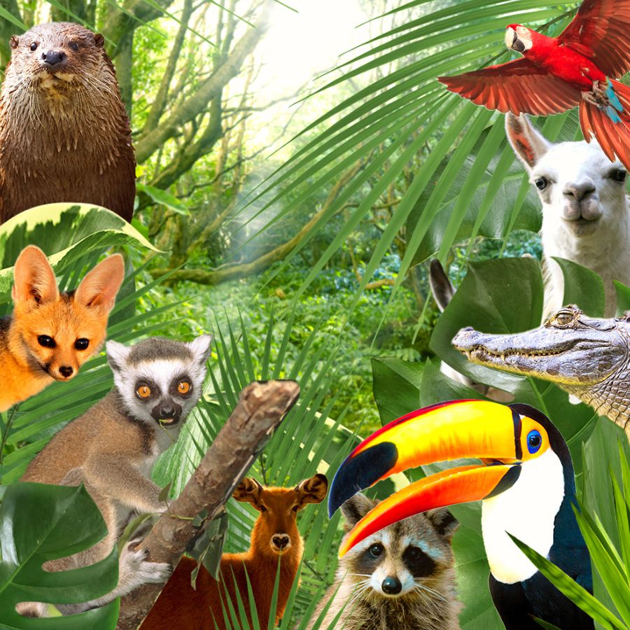 캐니언파크 울산점 