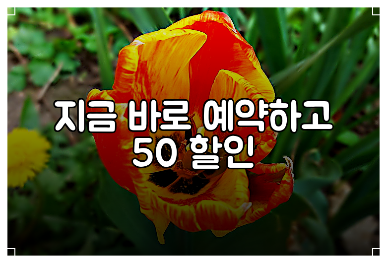 지금 바로 예약하고 50 할인