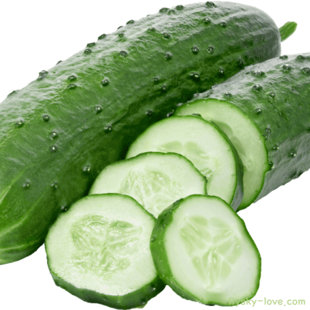 오이 고르는 법