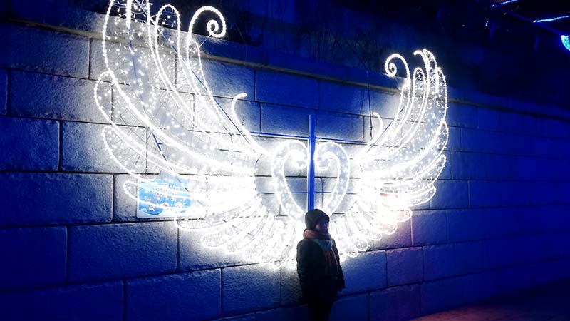 서울광장 스케이트장(Seoul Plaza Ice Rink)