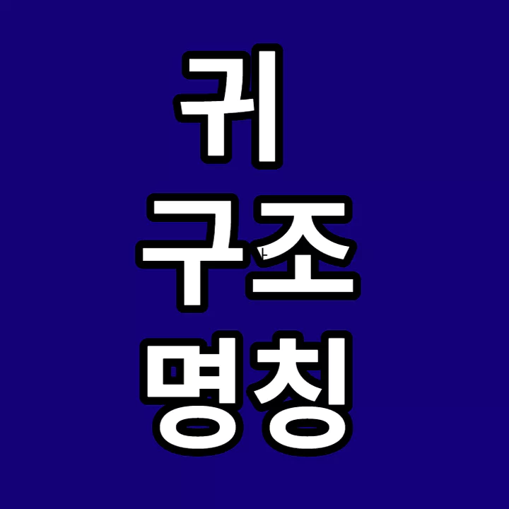 귀의-구조-명칭