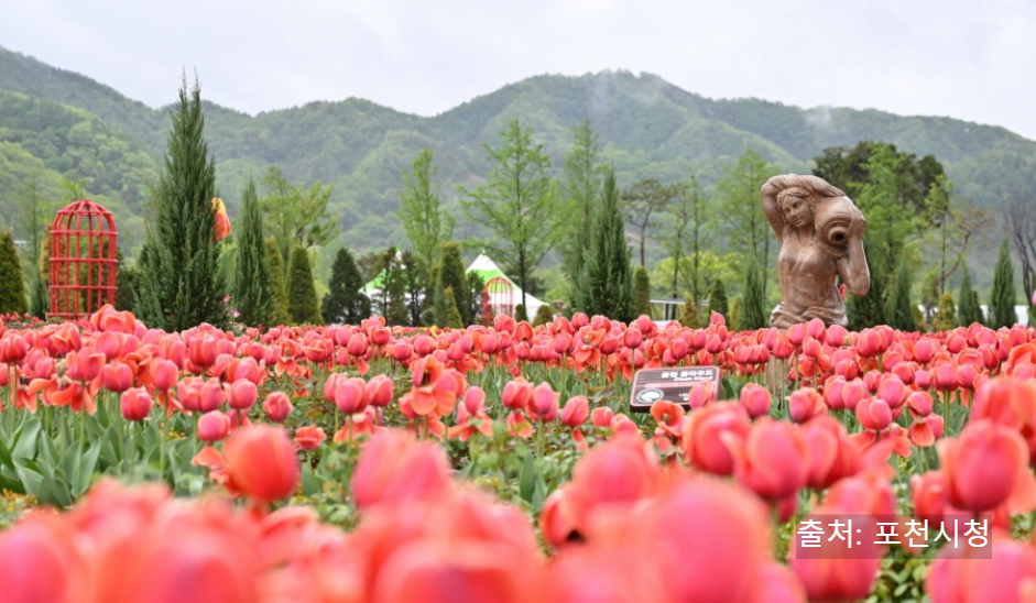포천 한탄강 가든 페스타와 Y자형 출렁다리&amp;#44; 반려 동물 문화 축제까지 총정리