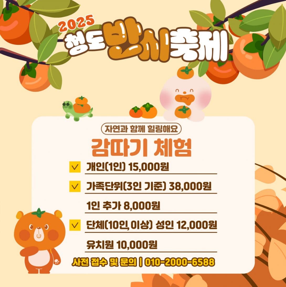 🍊 2025 청도 반시축제 완전정복