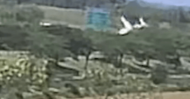 말레이시아 여객기 추락 사고 현장