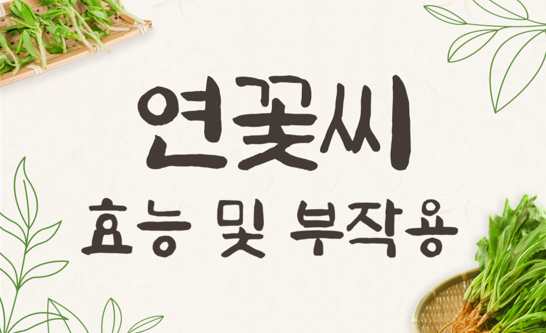 연꽃씨 효능과 부작용, 연자육차로 건강 챙기기