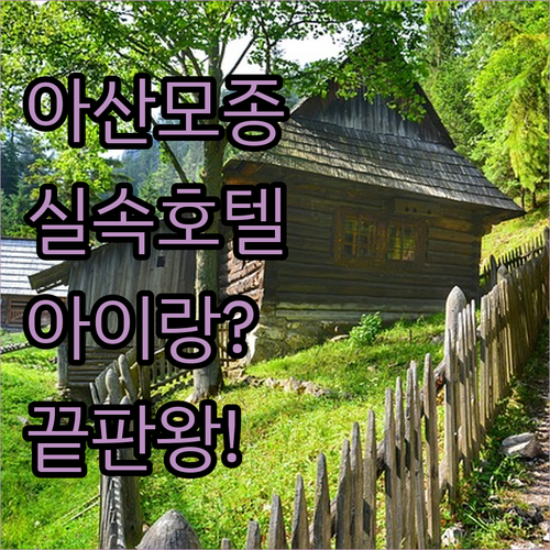 아산 모종로 인근 실속형 여행을 위한..