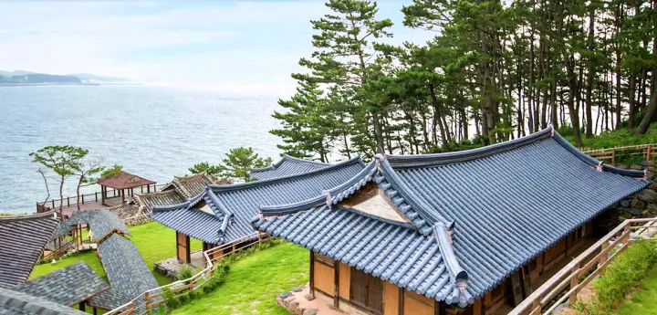 대천해수욕장 스카이바이크 무창포 오토캠핑장 캠핑 여행 정보 충남 보령 캠핑장