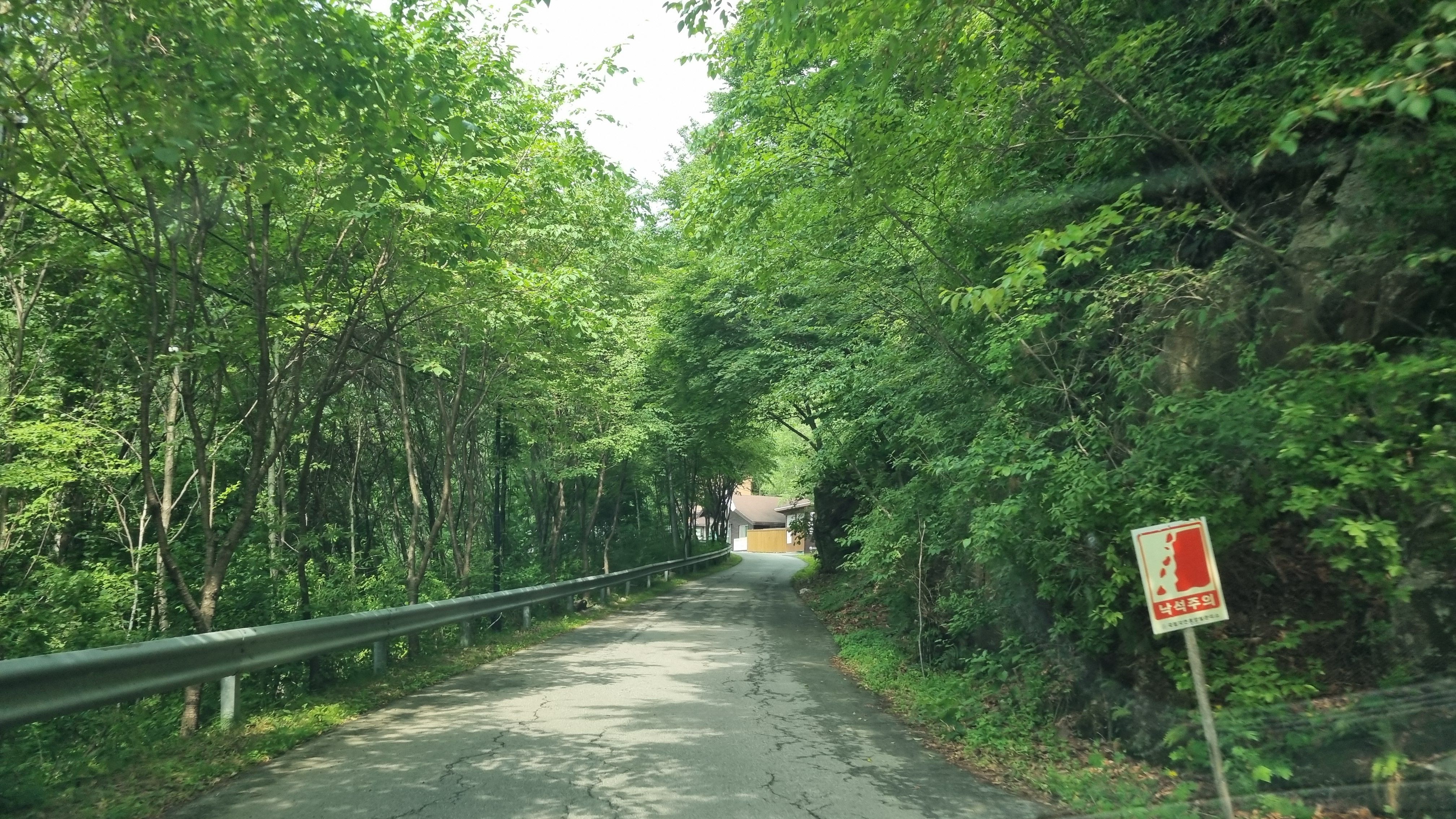 철원자연휴양림