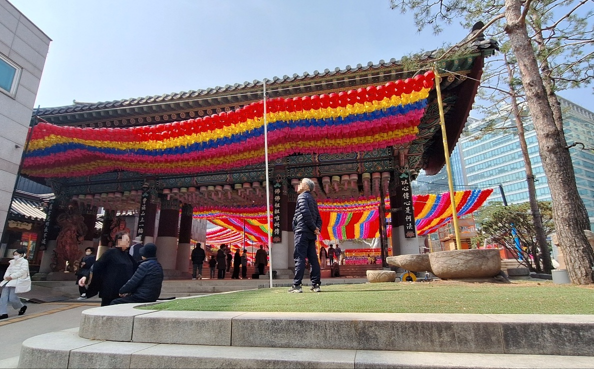 조계사-봄꽃-힐링-4