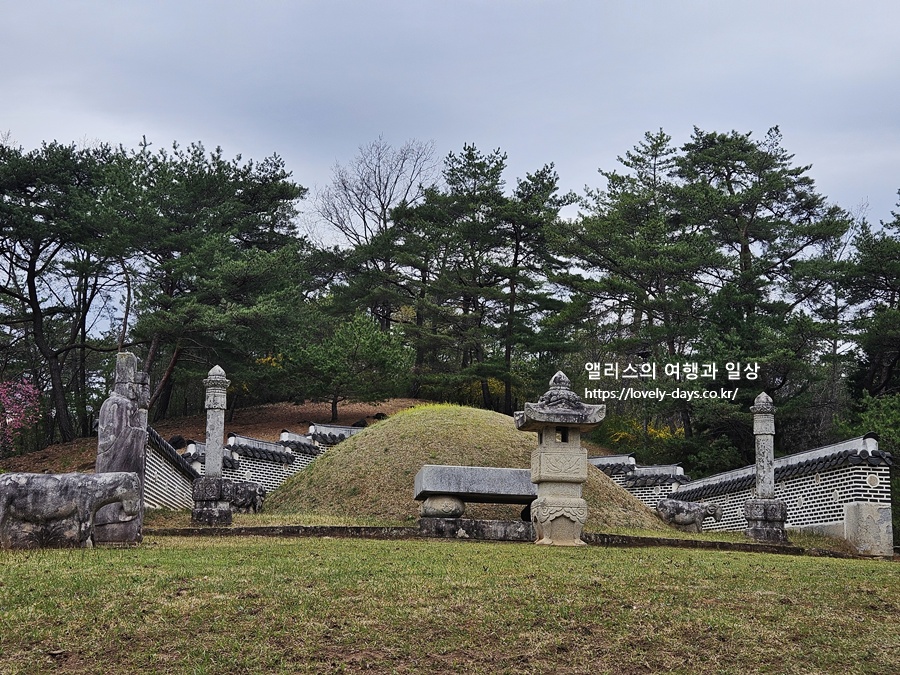 왕과사는남자투어 부산출발 영월 여행 서부시장 청령포 장릉 선돌 방문후기