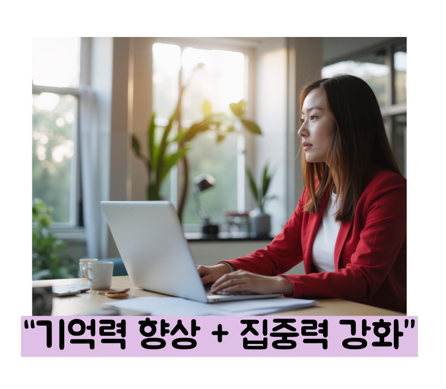 블루베리 효능