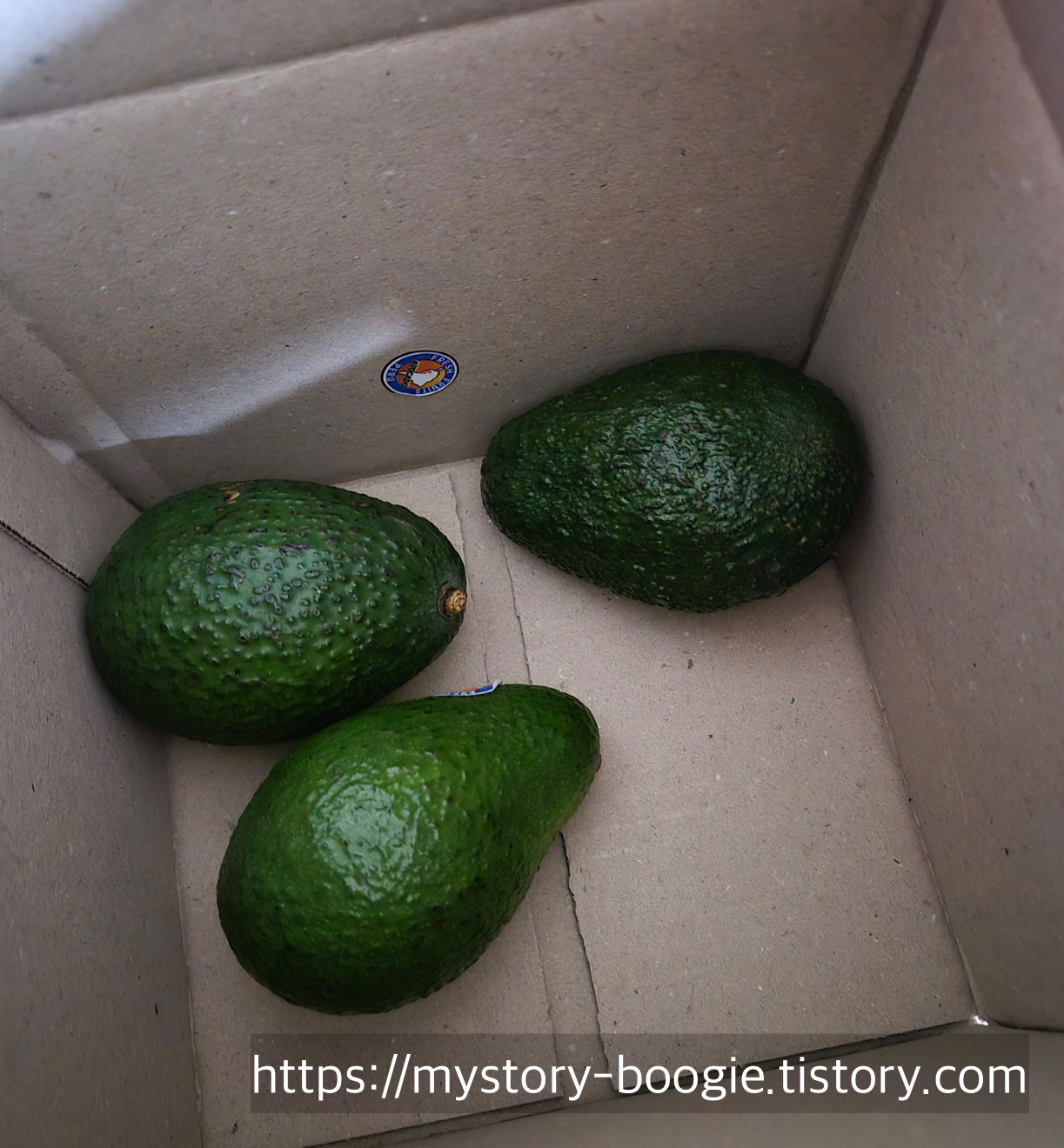 올팜 실제수령사진