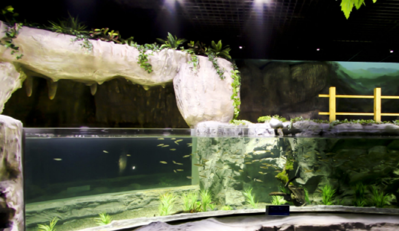 단양 아쿠아리움