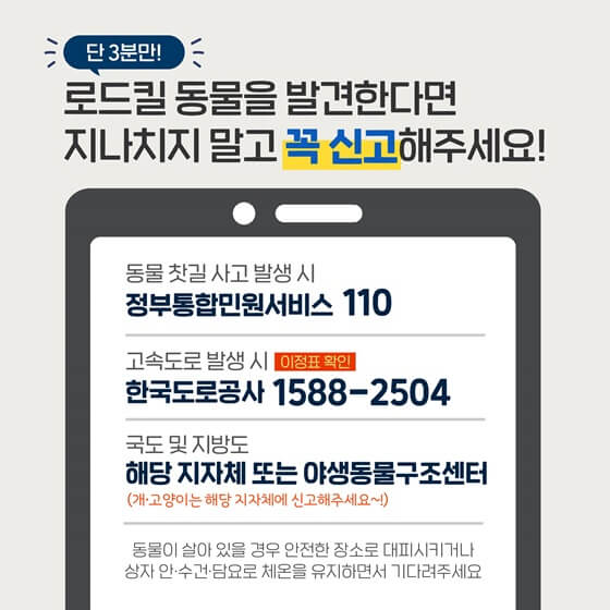 로드킬신고