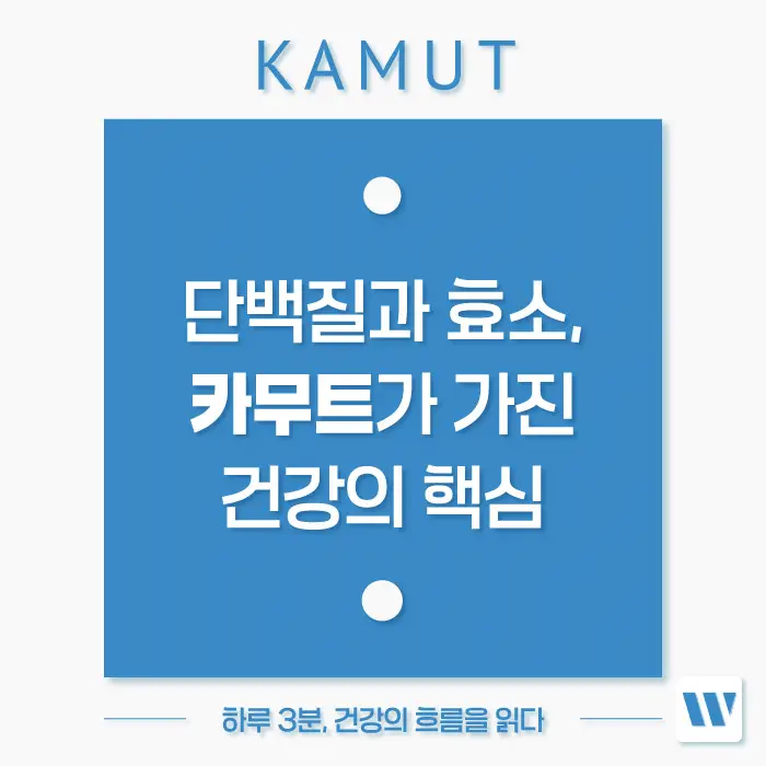 카무트 효소 효능