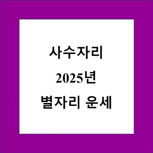 사수자리 2025년 별자리 운세 제목 상자
