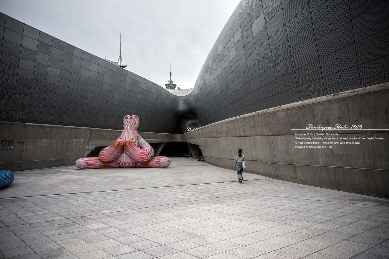 #서울 #동대문디자인플라자 #패션 #디자인 #DDP