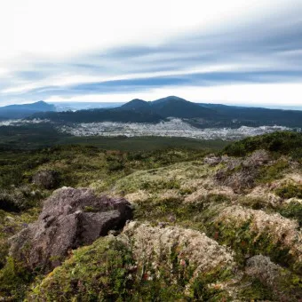 한라산 탐방로예약 시스템 등산 코스_10