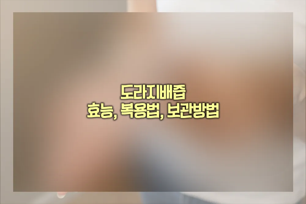 도라지배즙 효능 복용법 보관방법