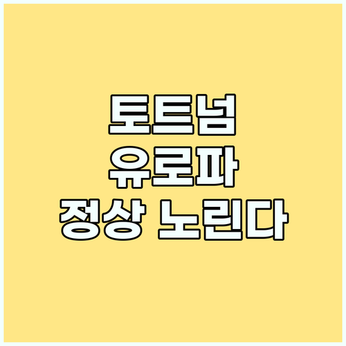 17년 무관 토트넘, 손흥민과 함께 