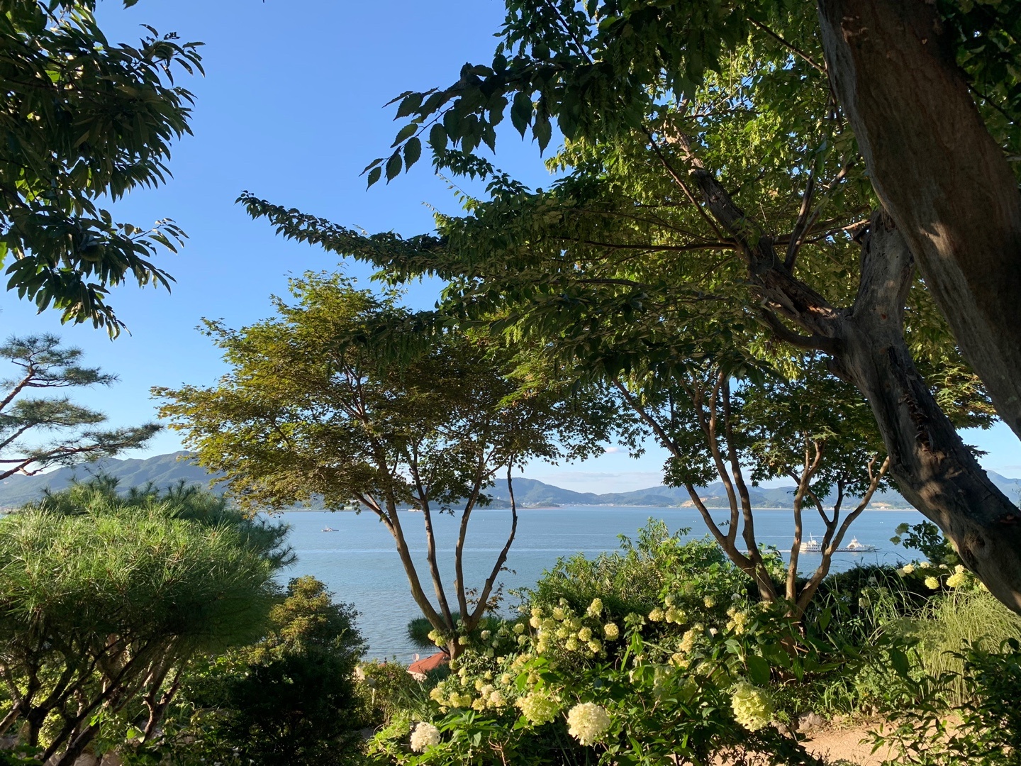 메이플10사진