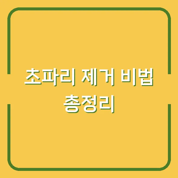 초파리 제거 비법 총정리