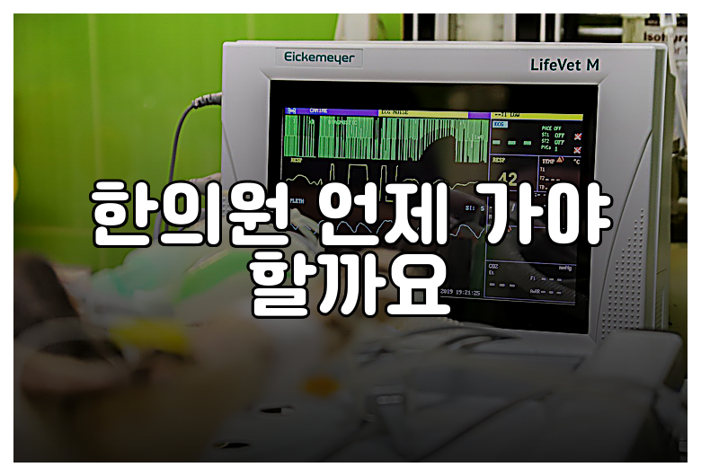한의원 언제 가야 할까요