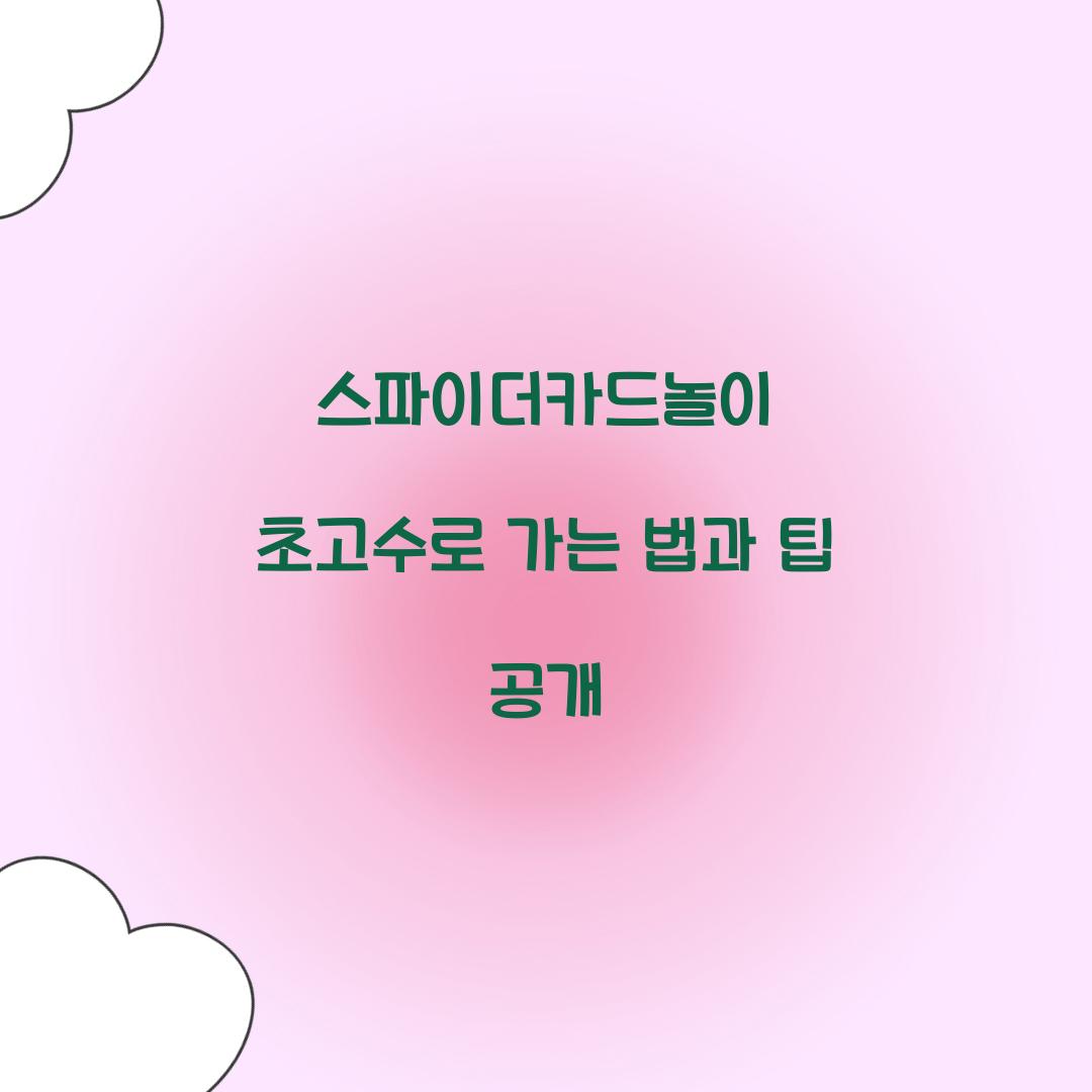 스파이더카드놀이