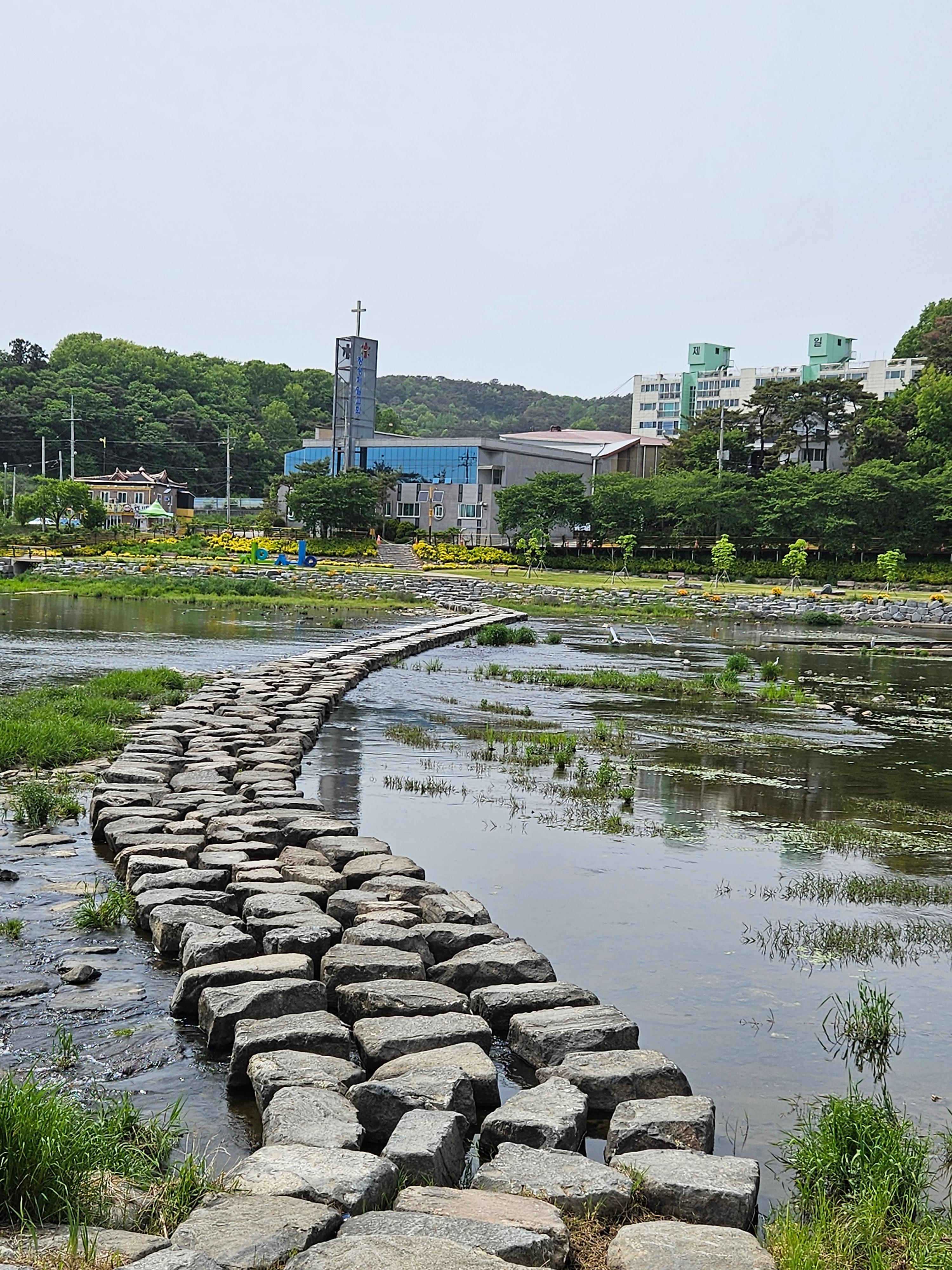 어린이 예술가 변신! 장성군 직업체험, 플로리스트 꿈 키워요!