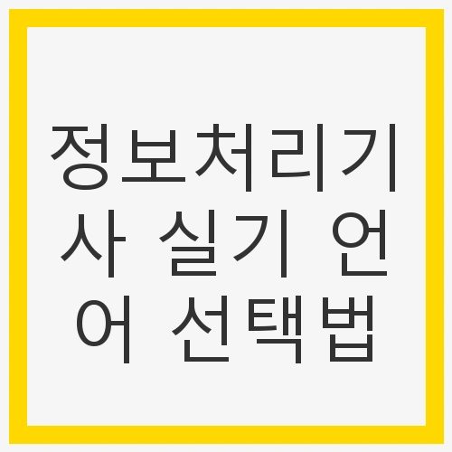 정보처리기사 실기 언어
