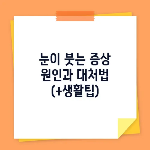 눈이 붓는 증상 원인과 대처법 (+생활팁)